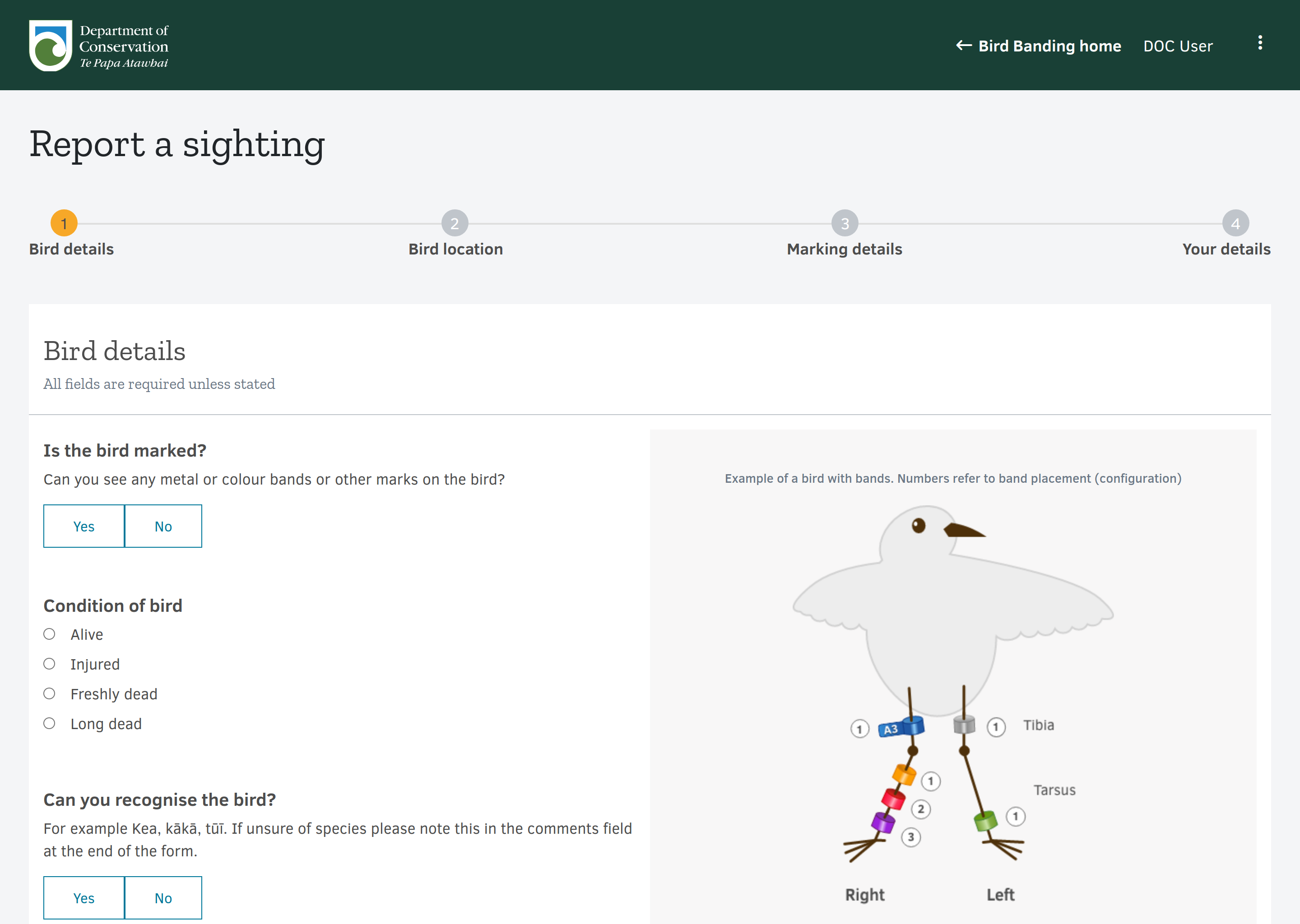 FALCON in action, showing the bird sighting report page